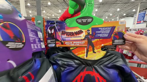 Marvel Licensed Costume Assortment