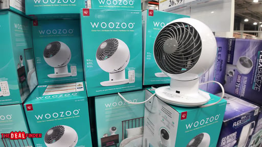 Woozoo 5-Speed Globe Fan