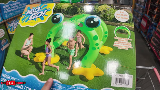 H2OGO! Froggy Fun Sprinkler Tunnel