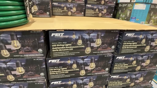 Feit Electric 48' LED String Lights