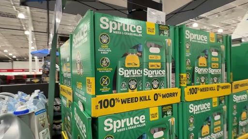 P&G Spruce Snap & Spray Weed & Grass Killer