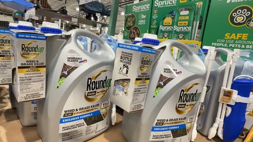 Roundup Dual Action Weed & Grass Killer Plus 4 Month Preventer with Easy Mix Refill, 1.33 Gallon
