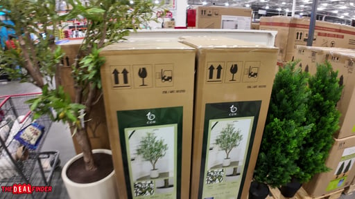 C.G. Hunter Faux 8' Olive Tree