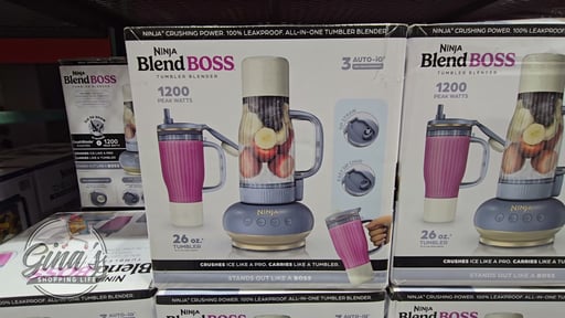 Ninja BlendBoss Single Serve Blender