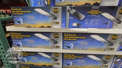 Fresh Source 5000L Solar Area Light