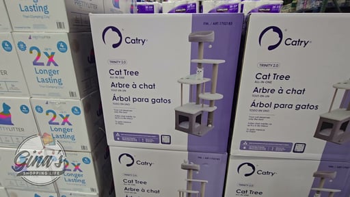 Catry Trinity 66" 5-Level Cat Tree