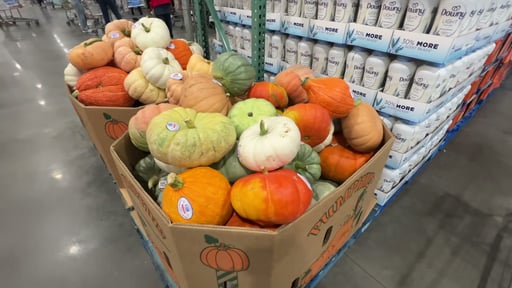 Heirloom Pumpkins, Each