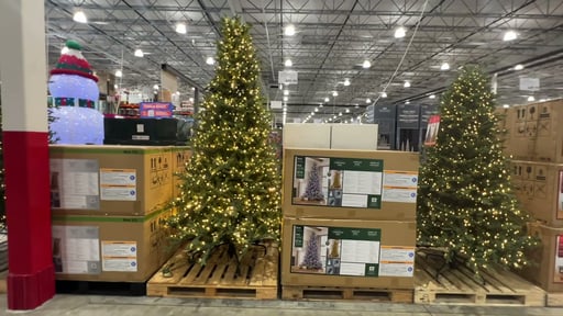 12' Pre-Lit Radiant Micro LED with Twinkle Christmas Tree