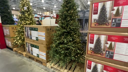 7.5' Pre-Lit Radiant Micro LED with Twinkle Christmas Tree