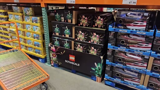 LEGO Botanicals Peace Lily & Magnolia Branches Bundle