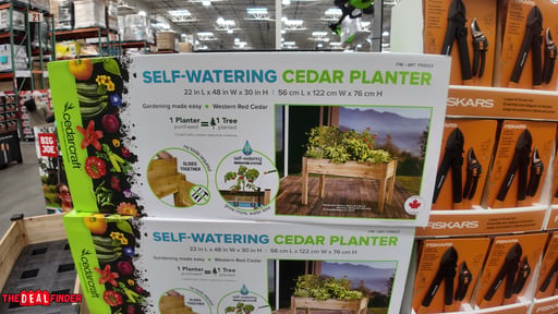 CedarCraft Self-Watering Cedar Planter