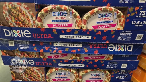 Dixie Ultra Platter 75 Count
