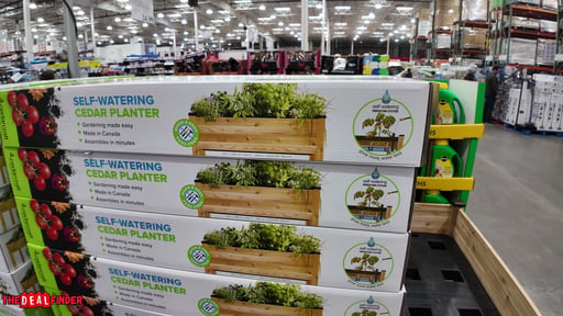 CedarCraft Self-Watering Cedar Planter