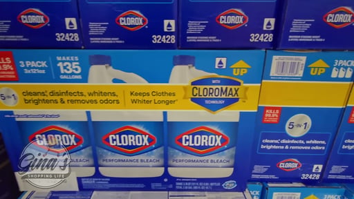 Clorox Performance Bleach