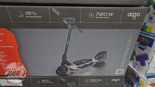 Aigo S80 Falcon Adult Electric Scooter