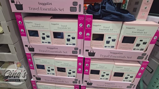 Baggallini Travel Essentials Set
