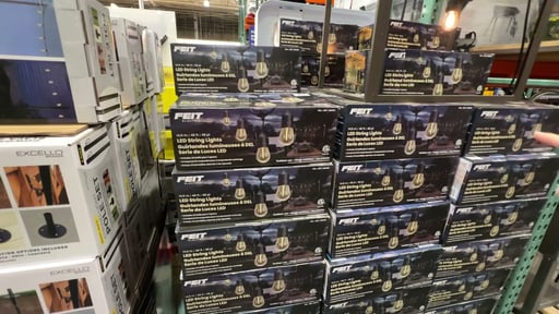 Feit Electric 48' LED String Lights
