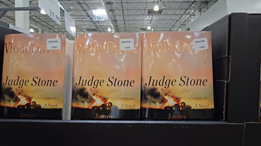 Judge Stone: A Novel by James Patterson and Viola Davis