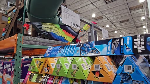 X-Kites Supersized Deluxe Nylon Kite