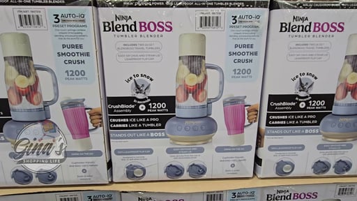Ninja BlendBoss Single Serve Blender