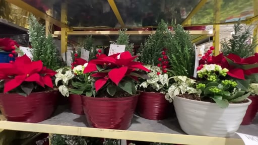 Holiday Planter