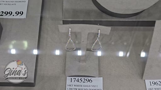 14kt White Gold VS2 Clarity, I Color 1.00 ctw Round Brilliant Diamond Dangle Earrings