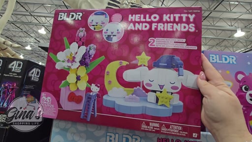 Hello Kitty or Care Bears Builder Assortment