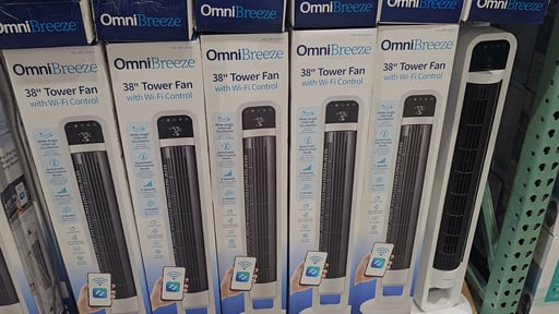 OmniBreeze Tower Fan