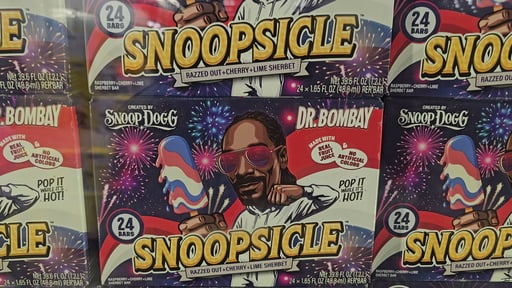 Dr. Bombay Snoopsicle Raspberry Cherry Lime Sherbet Bars, 24 x 1.65 oz