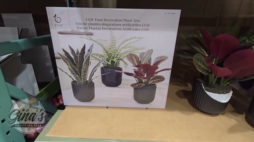 C.G. Hunter Faux Decorative Plant Trio