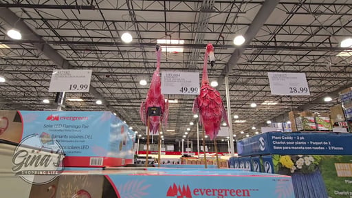 Evergreen Solar LED Metal Flamingo Statue Pair