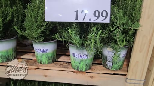 Rosemary Natural 1.5 Gallon