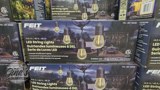 Feit Electric 48' LED String Lights