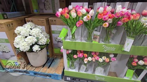 Tulip Arrangement