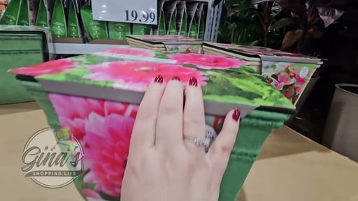 Pre-Planted Flower Bulbs in Planter 12L