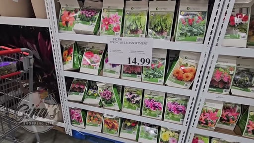 Spring Bulb Assortment